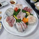 제주애견동반감성숙소 르페도라 | [241213-241215] 뮬리와 제주 여행 요약 (제주 조천읍 / 서귀포 남원읍)