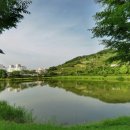 금병공원 유아숲체험원 이미지