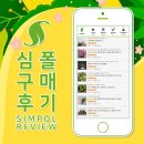[7/3] 심폴 생생 구매 후기 🌱💚💯 (오일펀 고사리 청광일엽, 사계원추리, 분홍백화등)