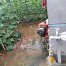 박대성농장 이미지