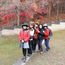 좋은친구들 이미지