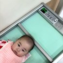 만복종합장식 | Dananala_육아일기 230~240일아기일상 (걸음마보조기,아기샤워핸들사용, 아기신발착용)