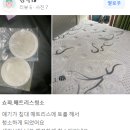 남양주소파청소매트리스청소청소의비결 이미지