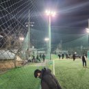 도안풋살구장 후기(주차장, 잔디 등)