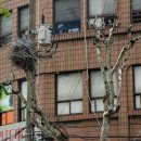 까치세탁소 이미지