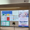 코리아세븐 조치원 자이점 | [GMO Sonic 2026] 일본 첫 페스티벌