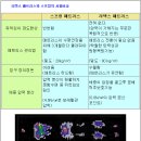 천연 라텍스 매트리스와 스프링 매트리스의 사용비교 이미지