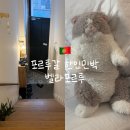 벨라민박 | 벨라포르투 : 포르투갈 한인민박 솔직후기 내돈내산 4인실 2박3일
