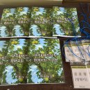 한림농원 이미지