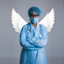 염창제일동물병원 | 북구 동물병원 제일수산질병관리원 솔직후기