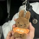 부제목장 | 5월 제주(부제: 제주도 에그타르트 1등은??!?!?)