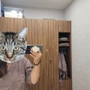 조외과의원 이미지