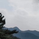 한돈참숯꼬기선산점