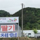 바람개비 딸기학교 이미지