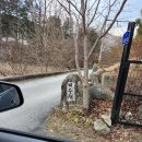 으뜸반려견유치원 | 마당 Madang 남양주 수동계곡 천연잔디마당 바베큐 모닥불 가능한 강아지 운동장 대여 후기