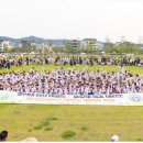 용인대행복한태권도장 이미지