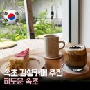 하도문속초 | 속초 카페 추천｜설악산 감성 카페 하도문 속초 후기 중정이 정말 예쁜 곳