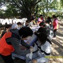 자연의 색 물들이기 이미지