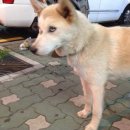 대흥치안센터 이미지