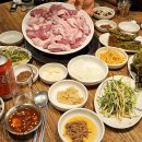 참뽈살&갈비살 | 달서구고기집 특수부위 원탑｜참갈매기&amp;뽈살, 대구 성당동 맛집 가족외식 강추