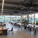 라운드 커피