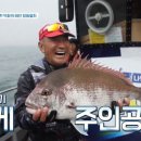 도시어부
