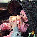 김밥나라(세종점) | 조용하게 다녀온 부여여행 (7개월 아기랑 부여여행 후기) (돌전 아기 여행지 추천)