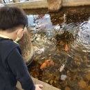 루스트플레이스 숭의점 이미지