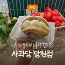 망원시장 | [망원동 베이커리] 사과당 망원점 - 망원시장 카페 디저트 맛집 후기