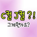 속눈썹J
