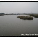 홍원교 옆 이미지