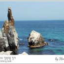 동해바다반건조 티스토리
