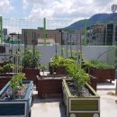 공립아이사랑어린이집 이미지