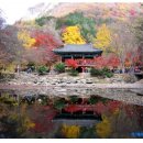 몽계폭포 백양사코스 이미지