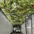 베트남가요노래연습장 | 호치민 3군 마사지 추천 가요가요 어플 할인되는 신린스파 Shinrin Spa