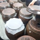 김경희농장 | <1> 춘천 혜원천마농장 다녀왔어요 '0'