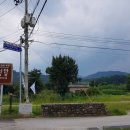 금성대군 이미지