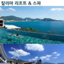 오션뷰호텔 티스토리