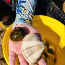 칠포2리 화장실 | 포항 조개잡이 해수욕장