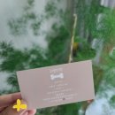 귀엽다멍 이미지