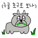 해피약국 이미지