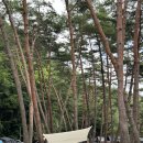 산골캠핑장 이미지