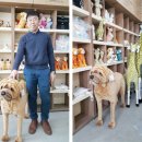 위더스인터내셔널 이미지