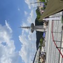 보리수하 이미지