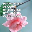세상사는이야기 이미지