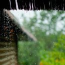 참좋은농장 이미지