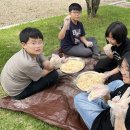 대양초등학교 - 화성시 | 대양초등학교