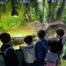 용두초병설유치원 이미지