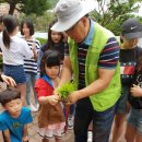 다운초등학교병설유치원 이미지