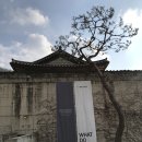 101호 수필 - 박정화 이미지